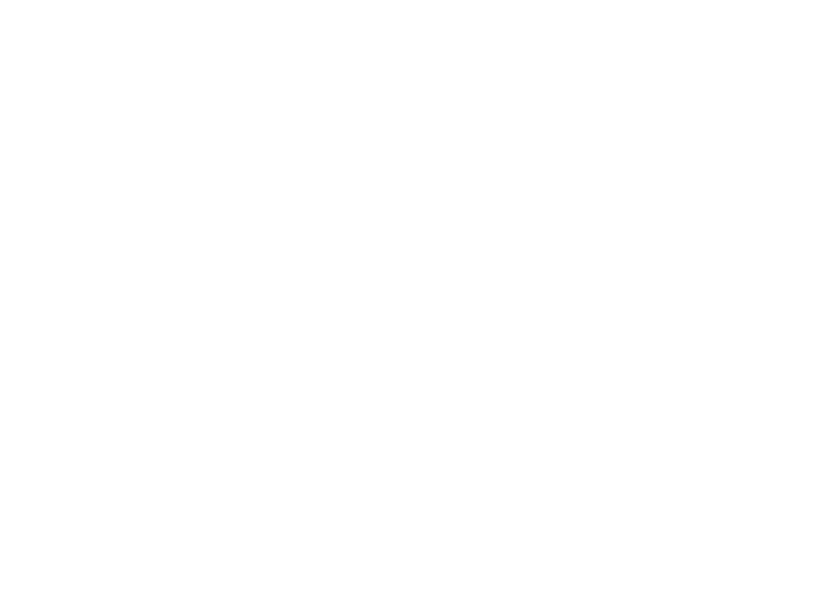 AMB Premium Group Logo White